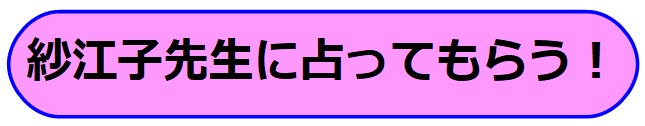 電話占いヴェルニ　紗江子